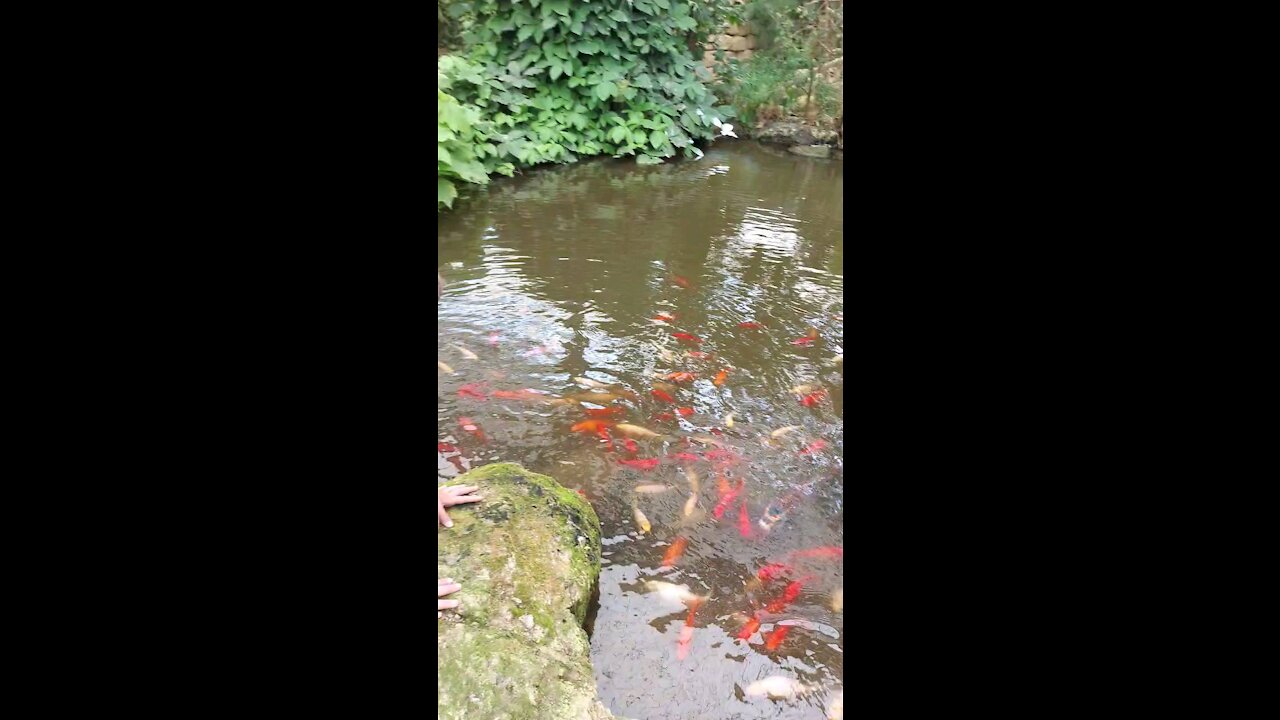 Mondo Verde Zoo in Landgraaf, Netherlands