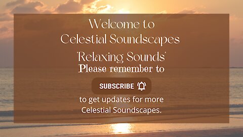 20 Minutes of Ocean Waves Flowing Over Pebbles Relax