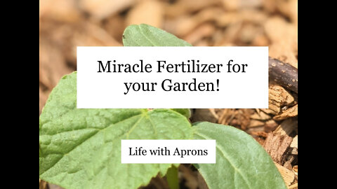 Natural, organic fertilizer every vegetable garden needs!