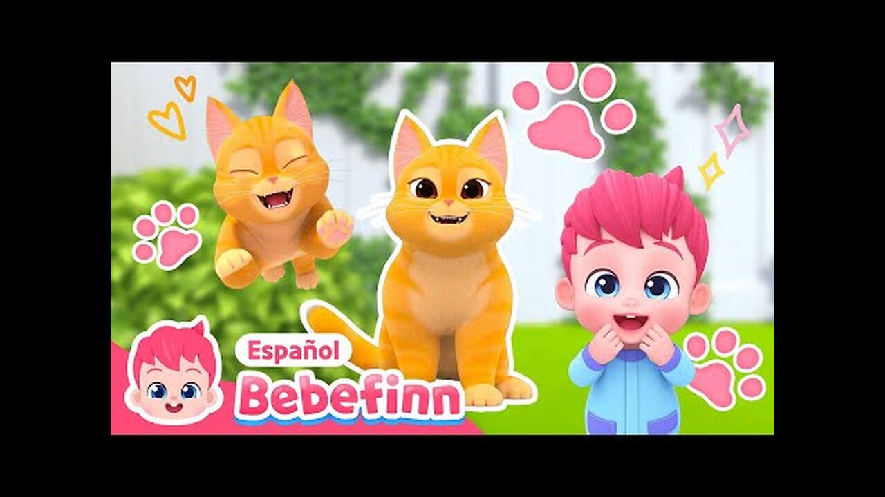 Gatito🐱, Nuevo Miembro de la Familia Bebefinn | La Canción del Gato | Bebefinn Canciones Infantiles