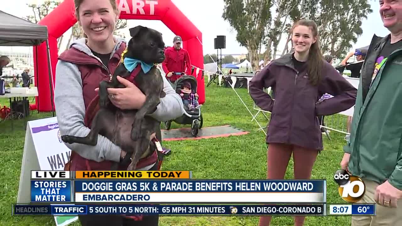 Doggie gras 5K & parade benefits Helen Woodward