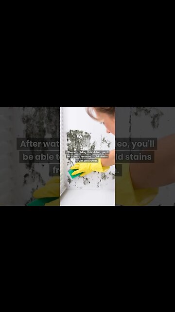 Spray This Liquid To Get Rid Of Mold Quickly