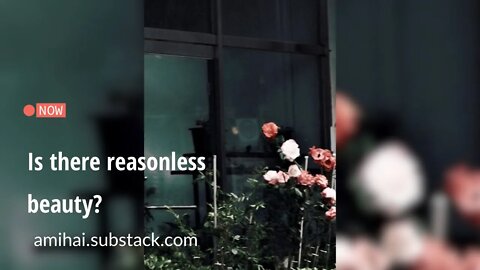 Is there reasonless beauty? | amihai.substack.com | Art of Now