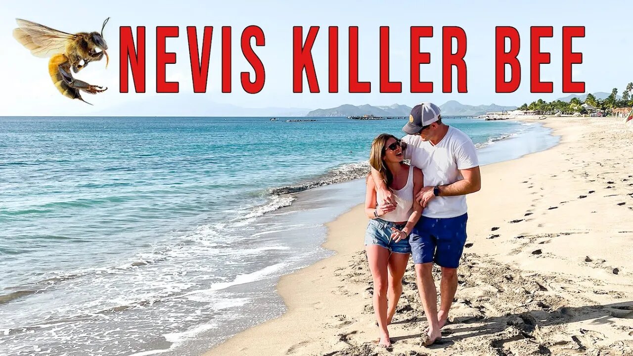 STUNG BY THE KILLER BEE ON NEVIS - St Kitts Part 2