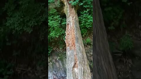 I will always be a tomboy 😆