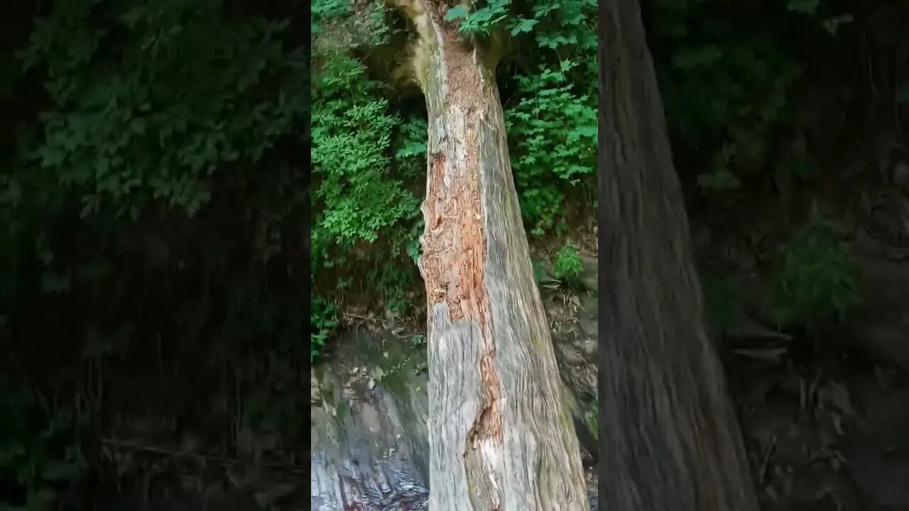 I will always be a tomboy 😆