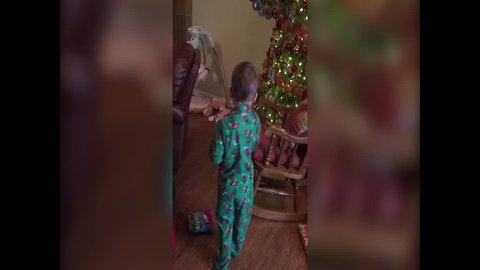 Kid has Cutest Reaction to Christmas Gift