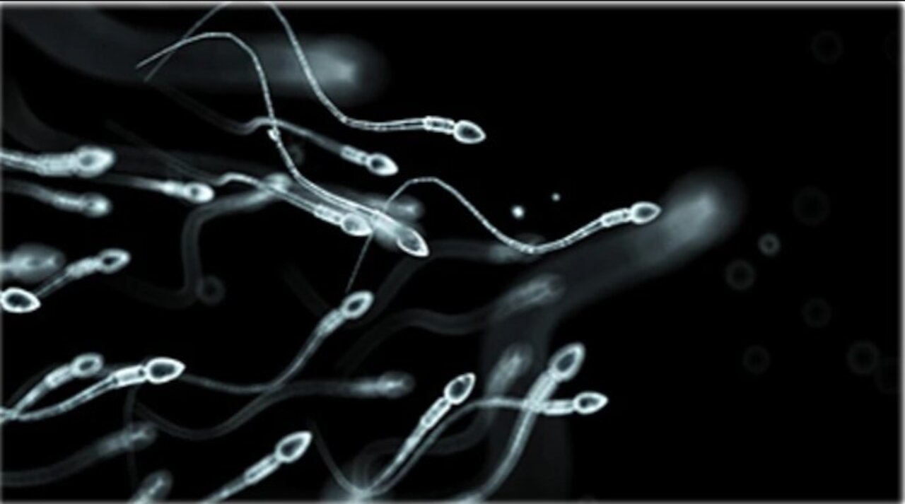 Psychic Focus on Semen Retention