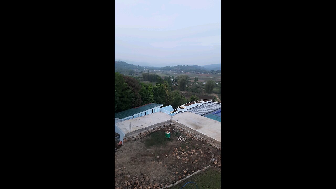 The View