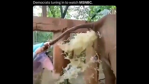 Democrats tuning in to watch MSNBC