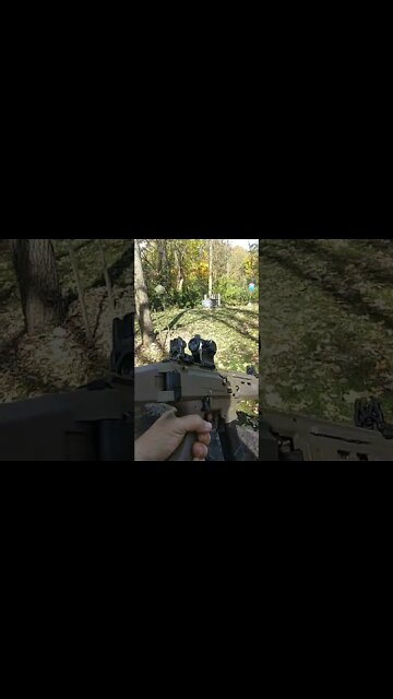 CZ scorpion #therapyrange