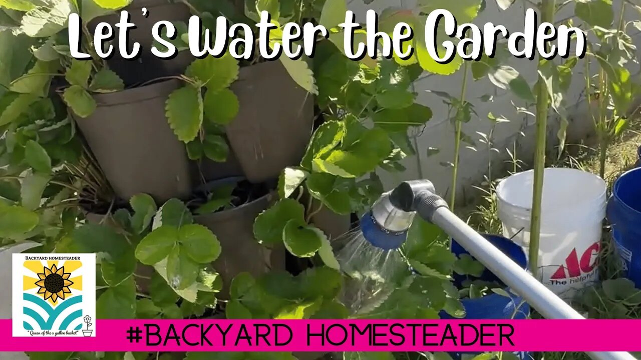 Ambient Lets Water the Garden together 01