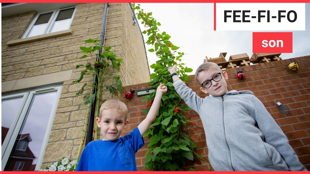 Schoolboy has grown a beanstalk to a massive 15FT