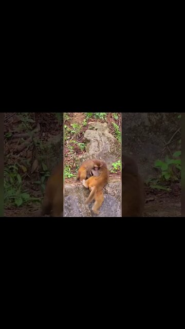 Most Amazing and trending video||relaxing your mind||trendig videos|| #shorts #trending #viral #live