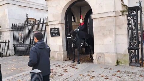 Military helicopter spooks kings guards horse #horseguardsparade