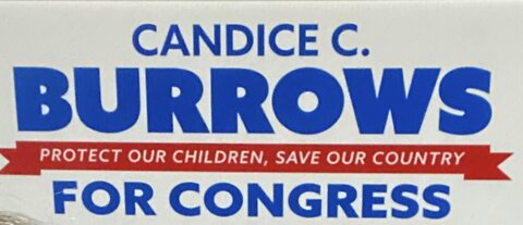 Candice C Burrows Runs for US House of Representatives Congressional District 8