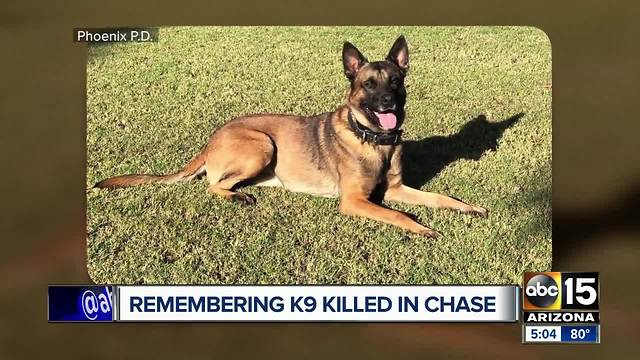 Remembering Phoenix police K-9 Bane killed in the line of duty