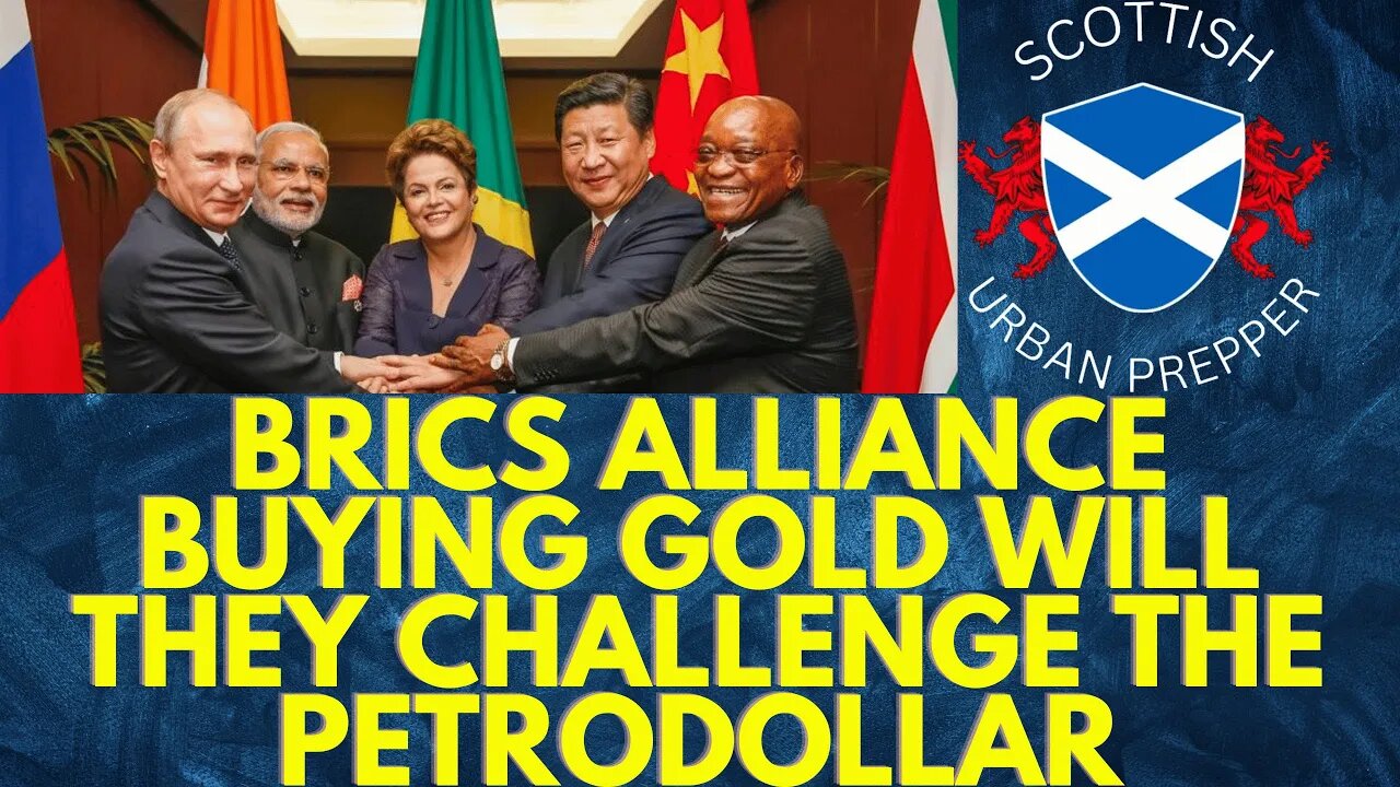 Prepping - The BRICS Alliance Just Bought Tons of Gold...What Could This Mean for the Petrodollar?