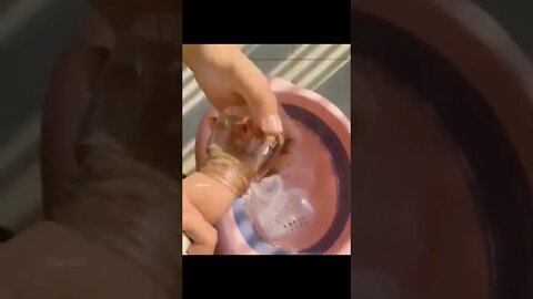 Baby Hand 😱 #shorts #youtube