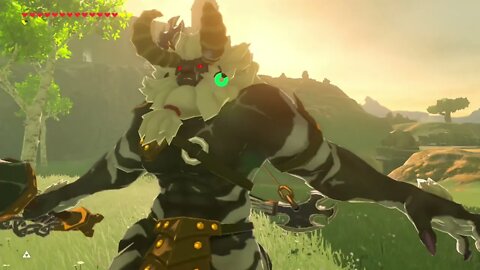 Breath of the Wild Master Mode 90