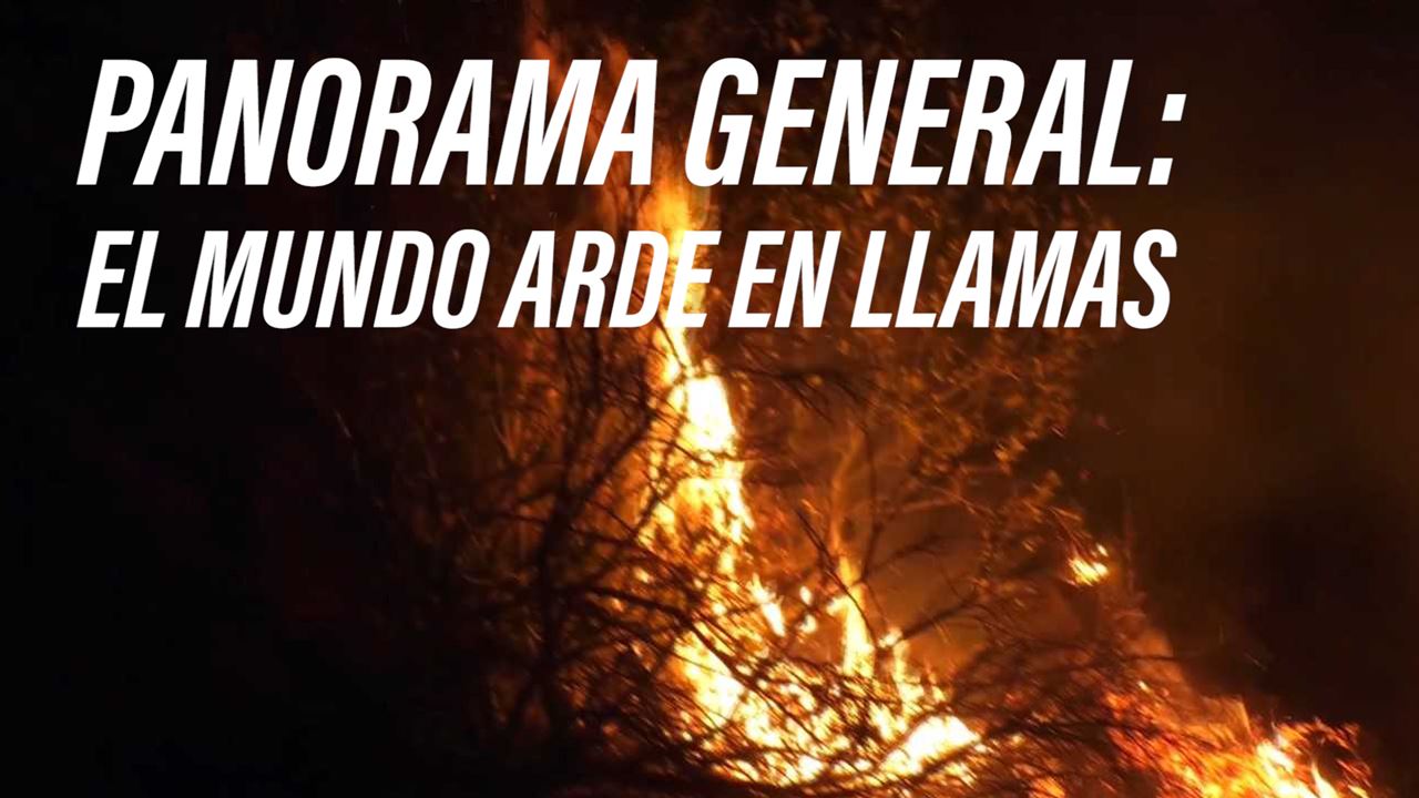 ¿El incendio forestal de California es una advertencia mundial?