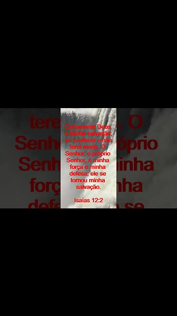 Verso Do Dia | Leitura Inspiradora Para Começar Seu Dia. | 16