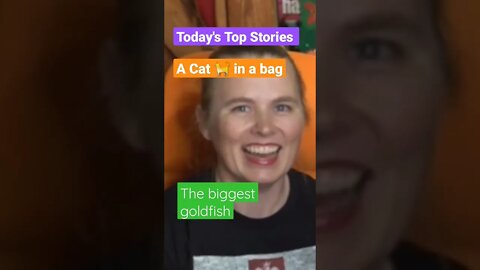 Today's Top Stories