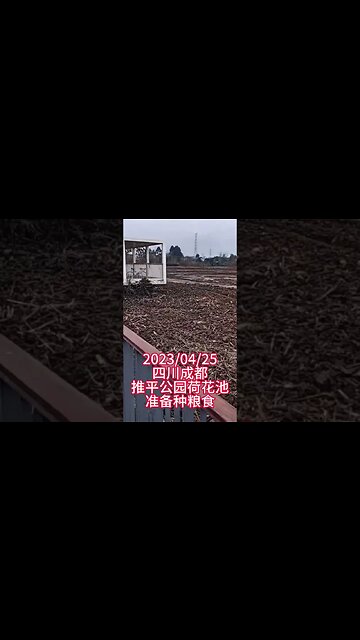 Lotus Pond in Park Filled up to Make Way for Crops