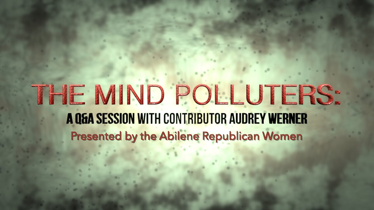 "The Mind Polluters:" A Q&A Session with contributor Audrey Werner