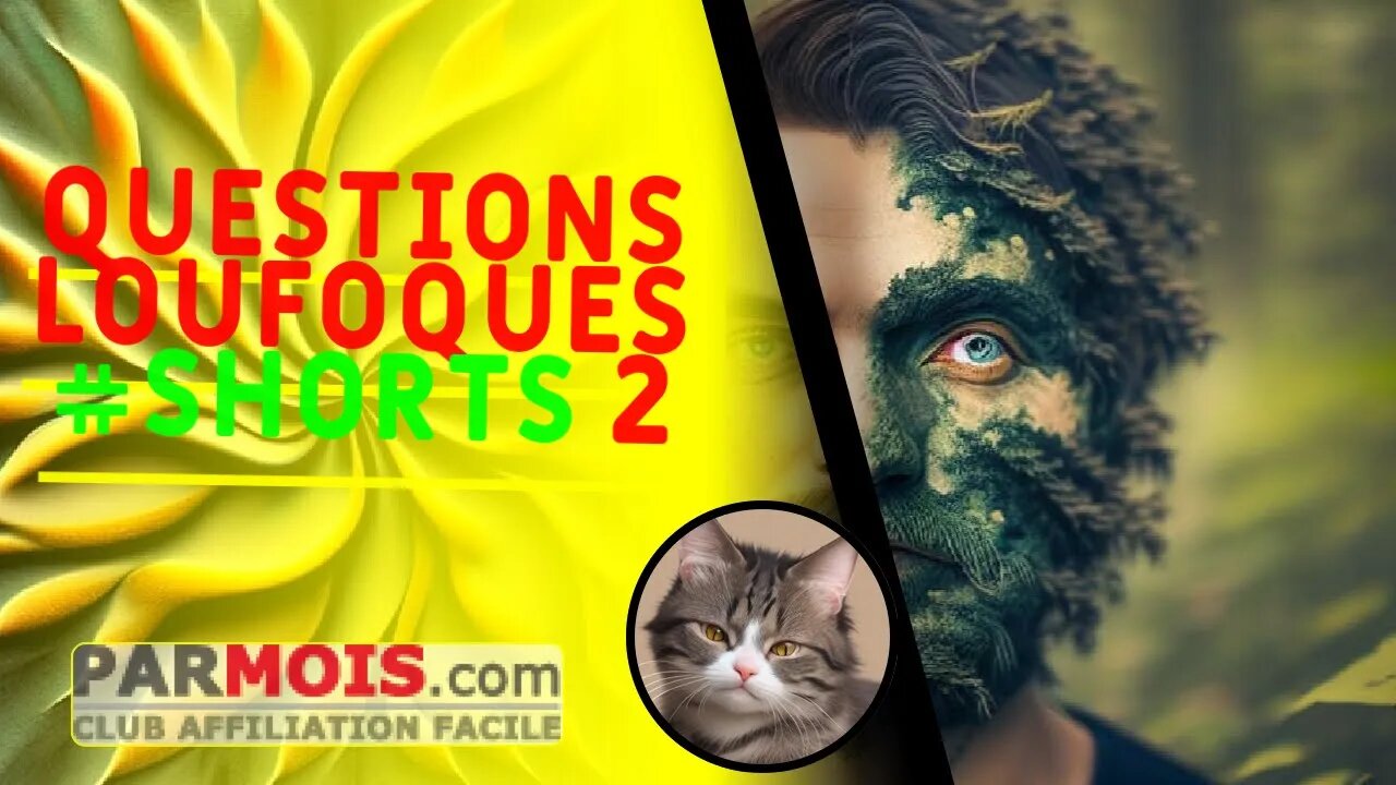 Questions Loufoques #shorts 2