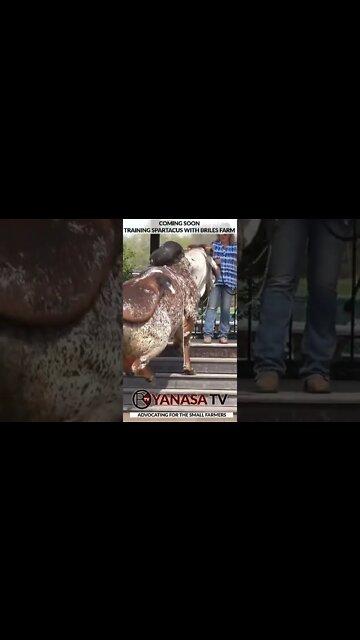 YOU DON’T SEE THIS EVERYDAY!