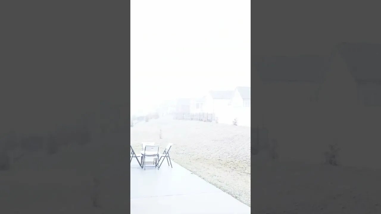 Snow Day - Enjoy!