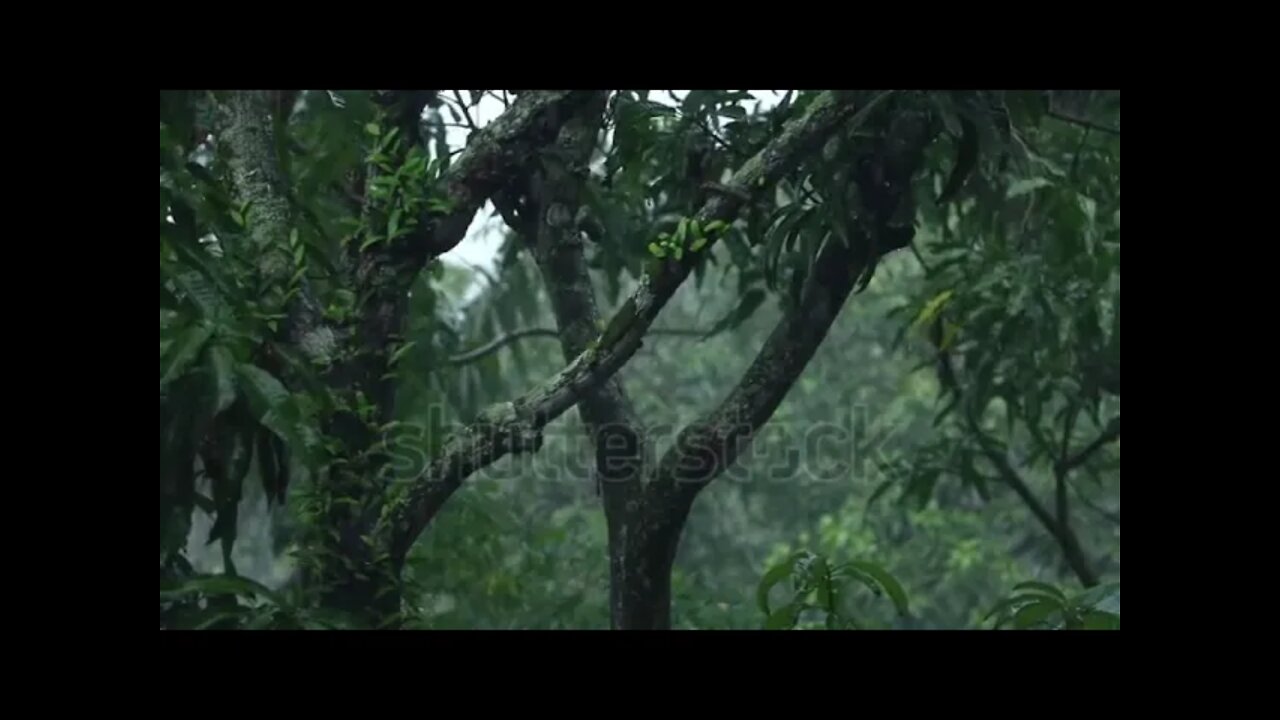 HEAVY RAIN - RELAXING VIDEO ( RAINING VIDEO, HEAVY REAIN, GOOD TO SLEEP AND RELAX) - 4