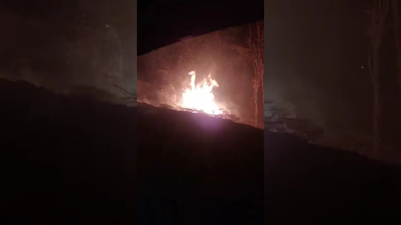 Tennessee Forest Fire