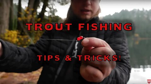 How To Fish Salmon Eggs For Trout Fishing (SUPER EFFECTIVE!!)