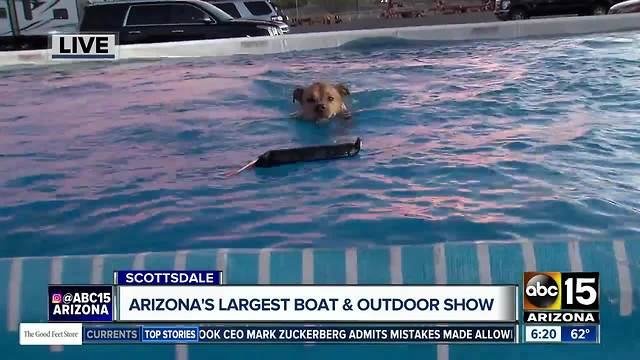 Check out the DockDogs at the International Sportsman's Expo