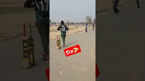 Over the Bowler's Head 👏#cricketlover #1M #shorts #shortvideo