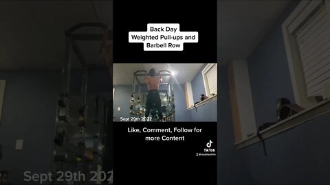 Weighted pull-ups 60#