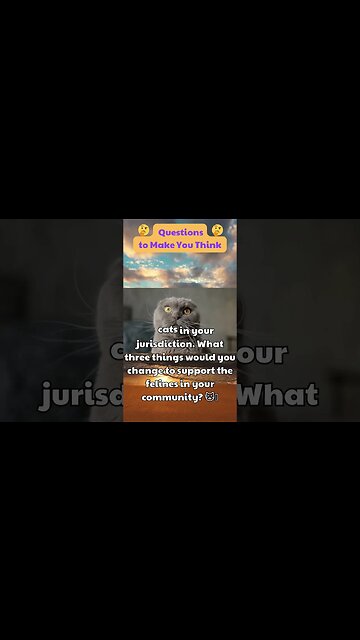 You’re now the president, but you can only make changes that improve the lives of cats...