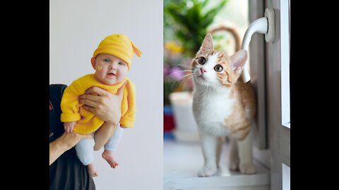 Cats Meeting Babies And Playing With Them #trending