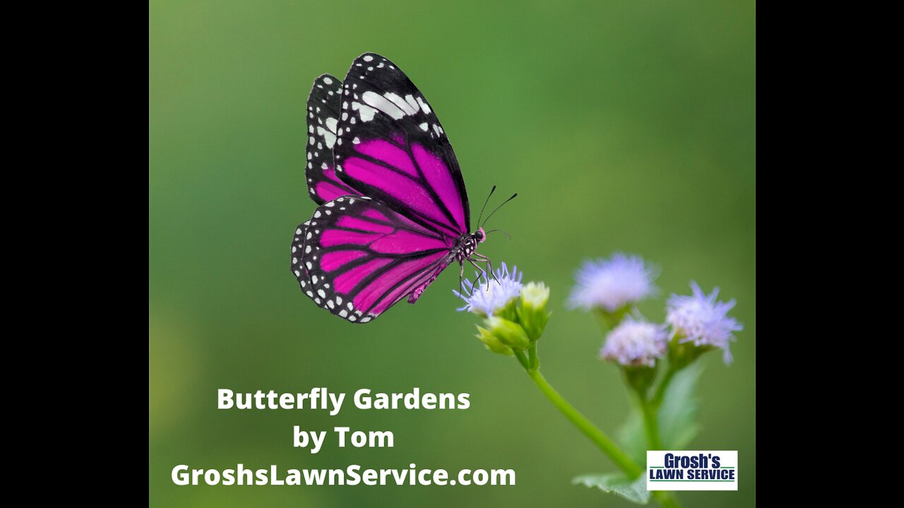 Butterfly Garden Greencastle PA Landscaping Contractor