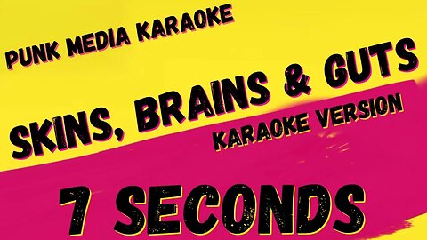 7 SECONDS ✴ SKINS, BRAINS & GUTS ✴ KARAOKE INSTRUMENTAL ✴ PMK