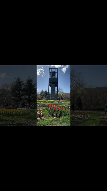 For Whom the Bell Tolls #Shorts