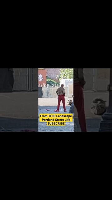 Street Life Downtown Portland From THIS Landscape - 🙅