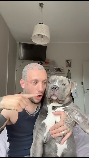 mino is a dog very dangerous