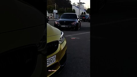 Waiting for "food"🦈