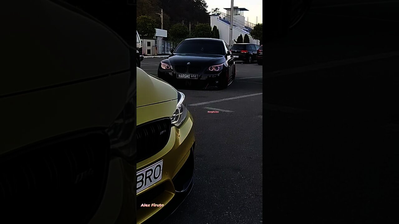 Waiting for "food"🦈