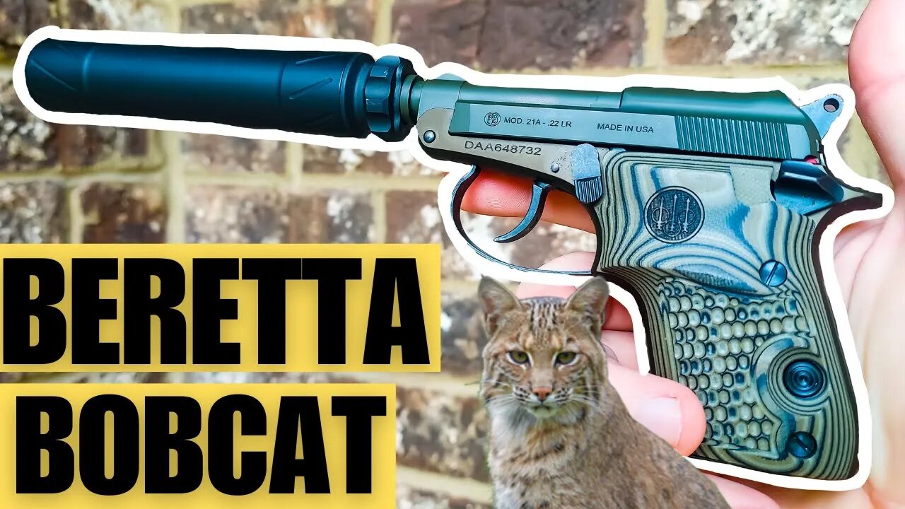 Beretta Bobcat - Model 21 A Kale Slushy