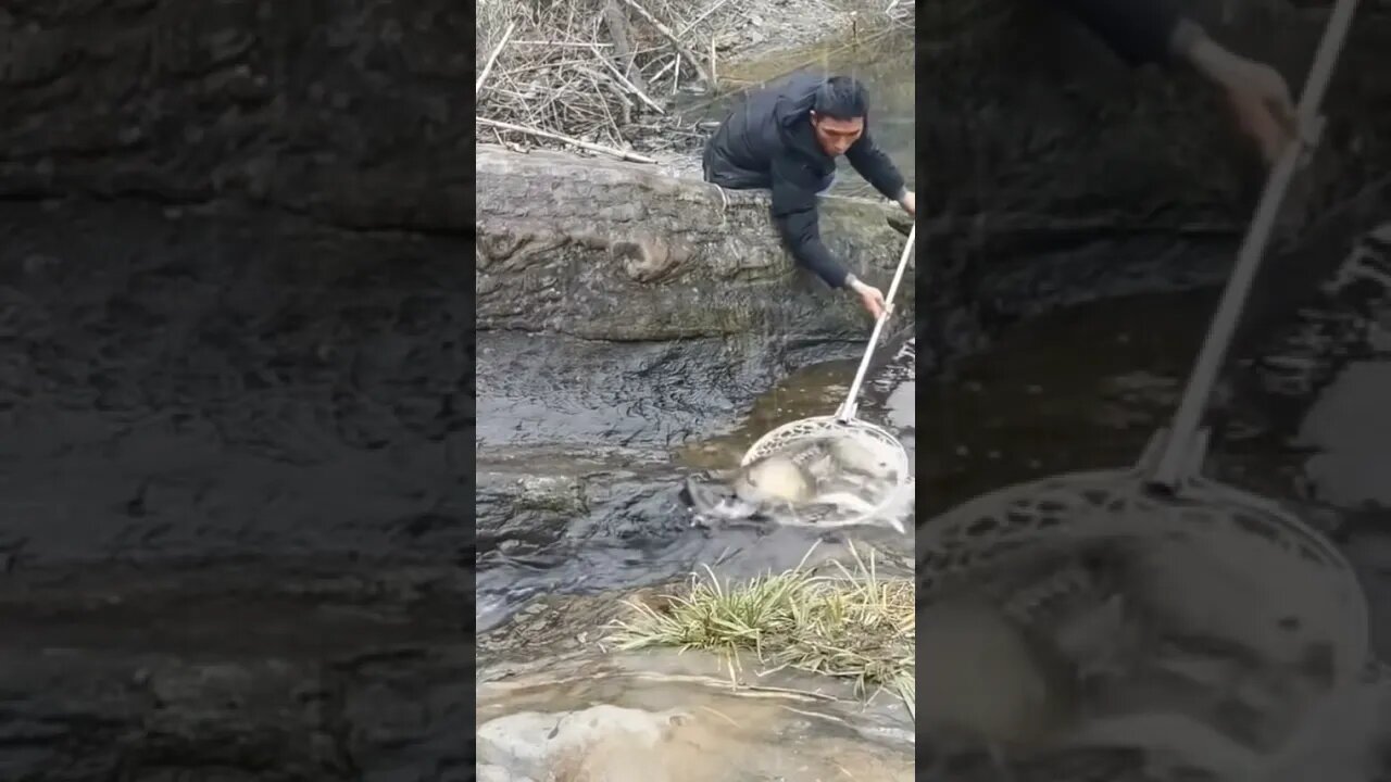 Funny fishing - Try not to Laugh 😂😂😂 funny videos