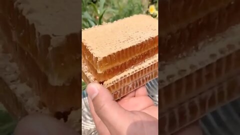 #honeycomb #honey #asmr #shorts